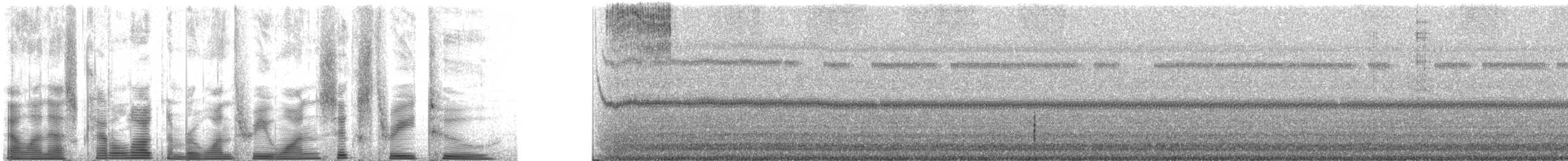 robust shieldback - ML131632