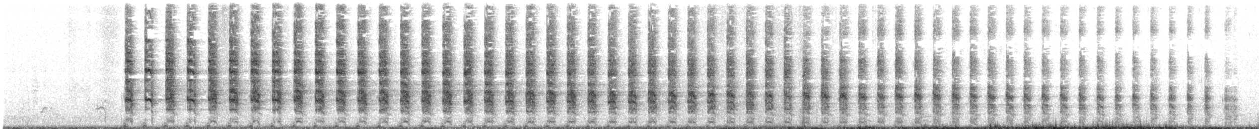 Râle tapageur (saturatus/scottii) - ML131644291