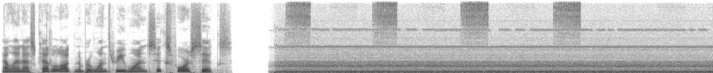 robust shieldback - ML131646