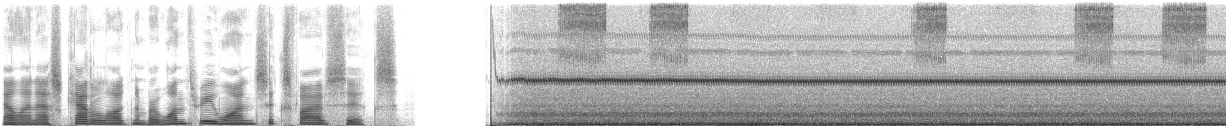 robust shieldback - ML131656