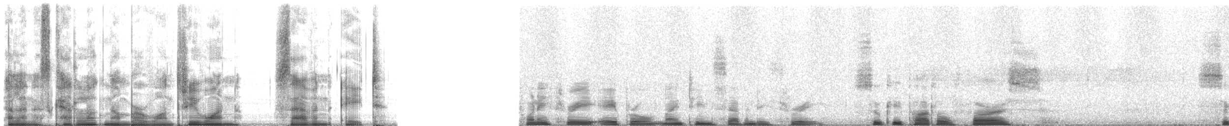 Large-billed Crow - ML13178