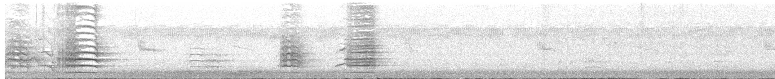 kakadu havraní - ML131785131