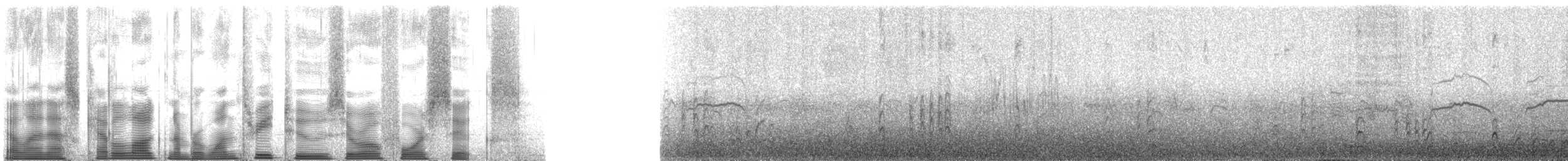 Çatal Kuyruklu Fırtınakırlangıcı (leucorhous) - ML132046