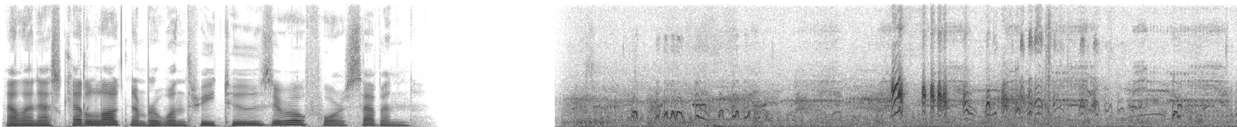 コシジロウミツバメ（leucorhoa） - ML132047