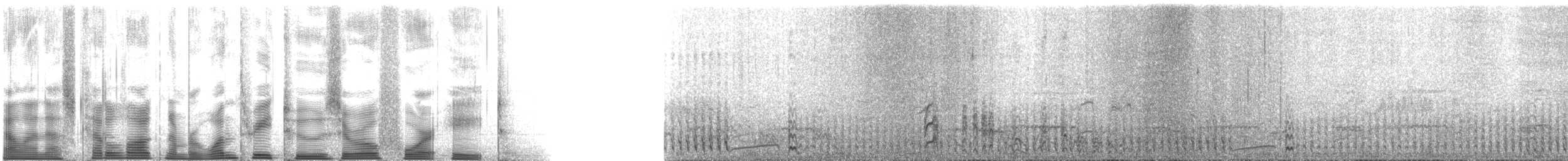 Северная качурка (leucorhoa) - ML132048
