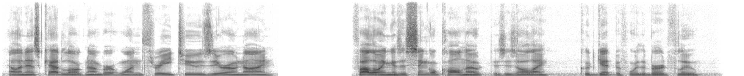 Yeşil Sırtlı Tırmaşık - ML13209