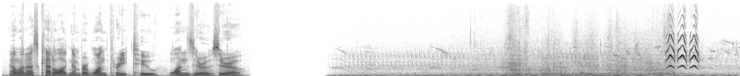 斑尾鷸(baueri群) - ML132100