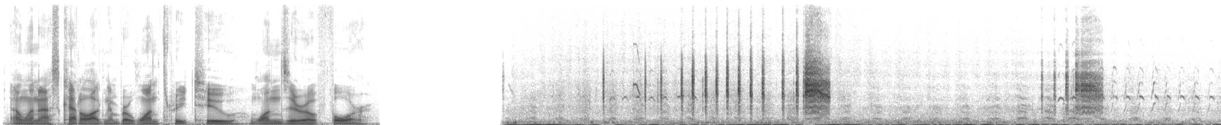 Arctic Tern - ML132104