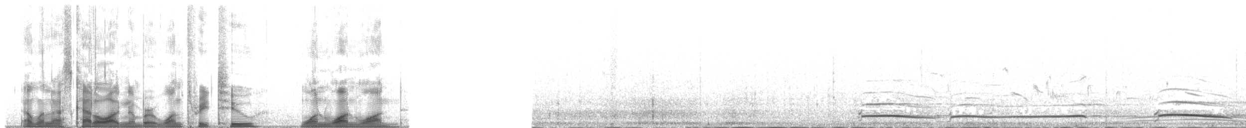 Гагара білодзьоба - ML132111