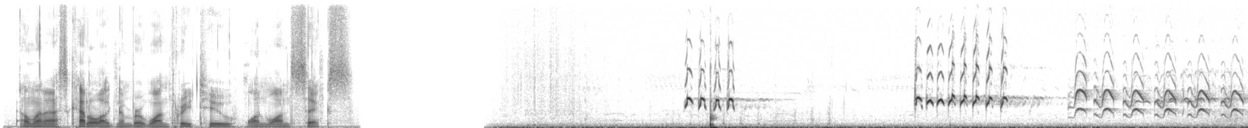 チュウシャクシギ（亜種 アメリカチュウシャクシギ） - ML132116