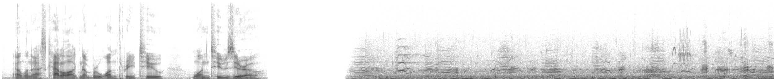 Branta musubeltza (nigricans) - ML132120