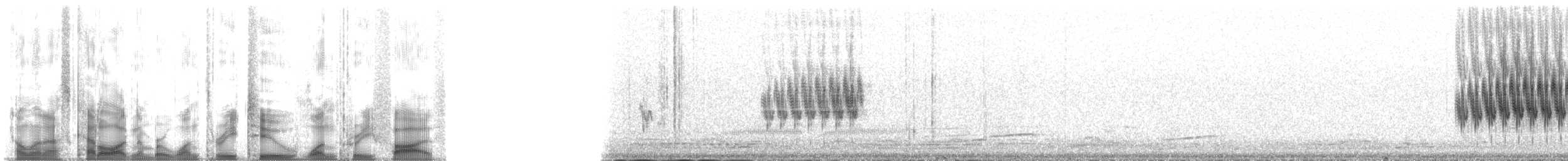 Redpoll (Hoary) - ML132135