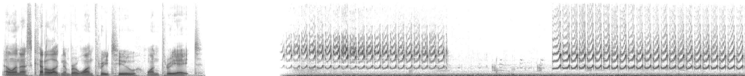 Correlimos Semipalmeado - ML132138