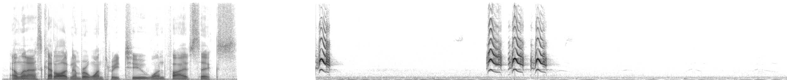 Kuliska gorria (siberiarra) - ML132156