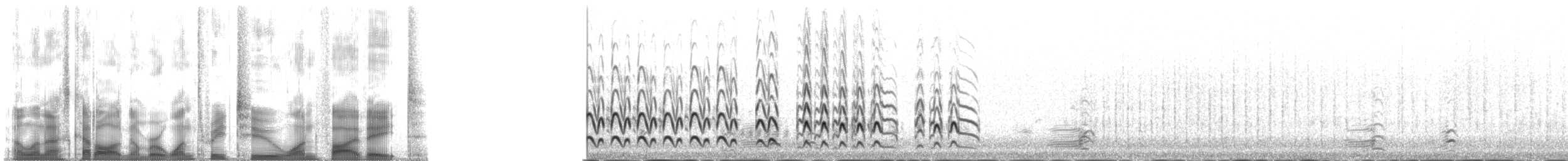 Pfuhlschnepfe (baueri-Gruppe) - ML132158