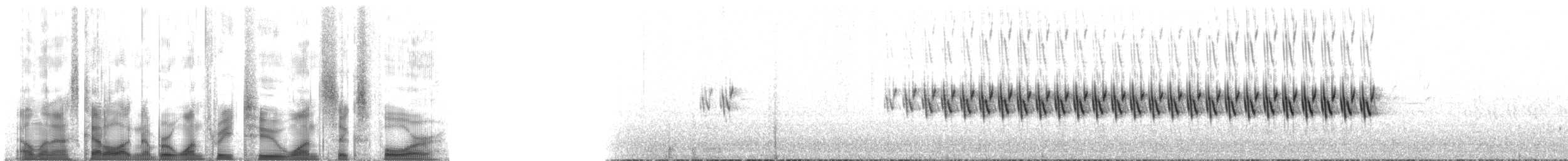Arctic Warbler - ML132164