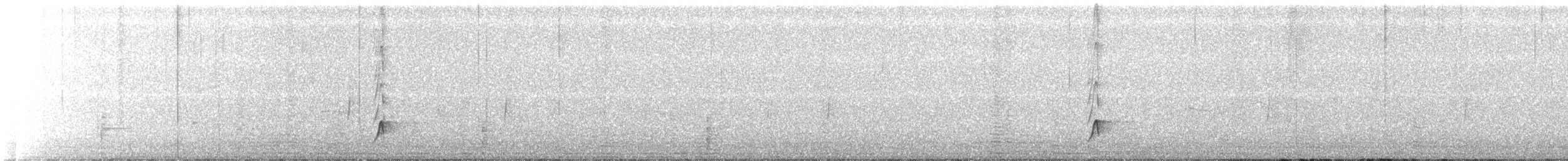 Brown-crested Flycatcher - ML132189321