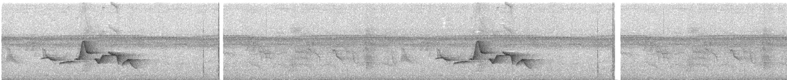 Spot-breasted Wren - ML132197641