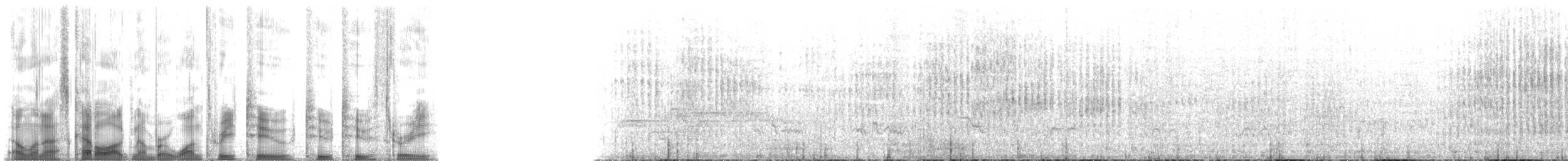 datlík smrkový (ssp. fasciatus) - ML132223
