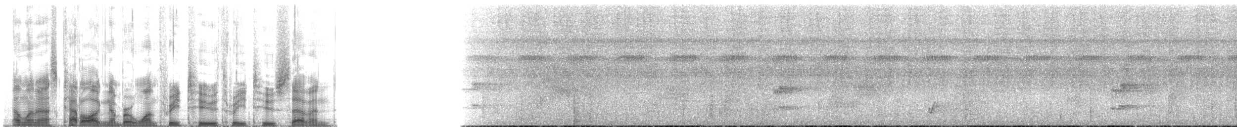 セアカオオツリスドリ（angustifrons グループ） - ML132327
