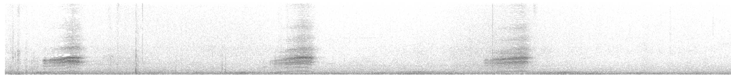 Plain-flanked Rail - ML132372591