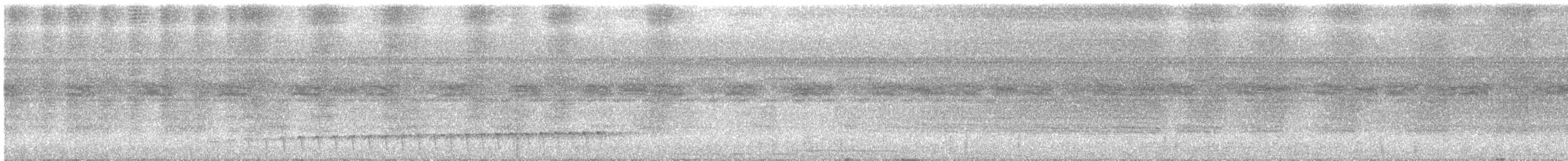 Plumbeous Antbird - ML132416061