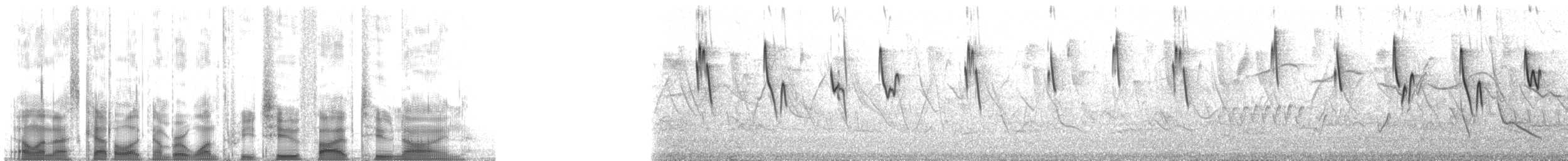 safranspurv (pelzelni) - ML132529