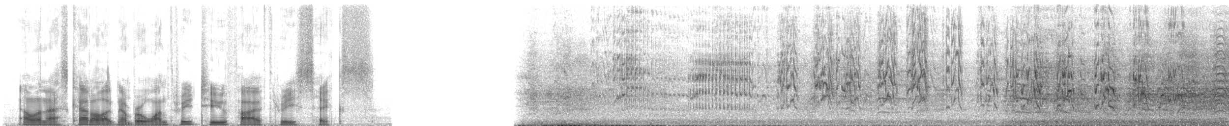 mníšek šedý (ssp. luchsi) - ML132536