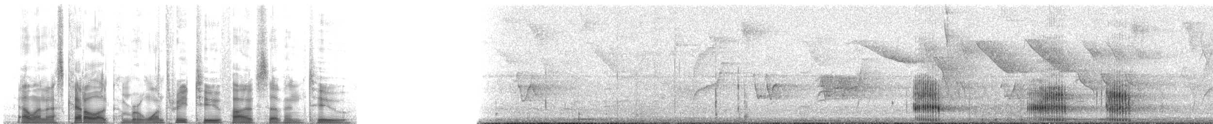 Toco Toucan - ML132572