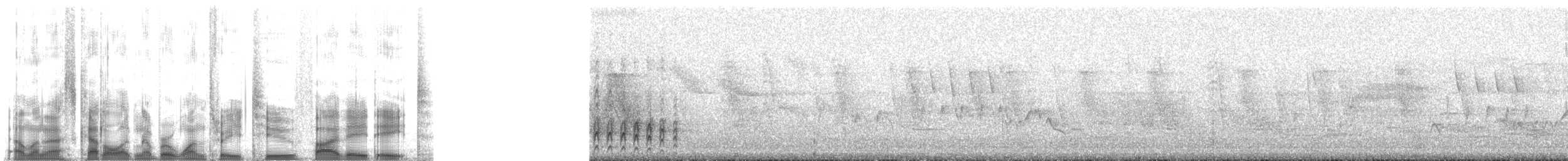 Длинноклювый улиткоед (uncinatus) - ML132588