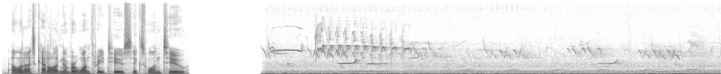 flekkdovenfugl (striatipectus) - ML132612