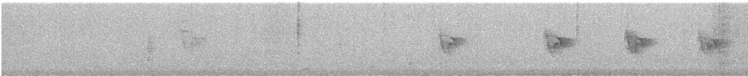 White Wagtail - ML132616781