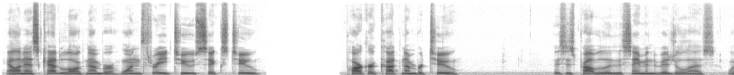 Gelbstirntyrann - ML13262