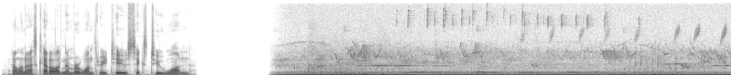 Tinamou superbe - ML132621