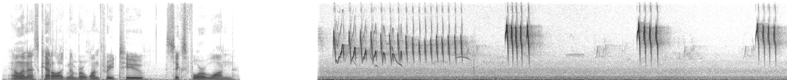 hvitissetyrannulett (munda) - ML132641