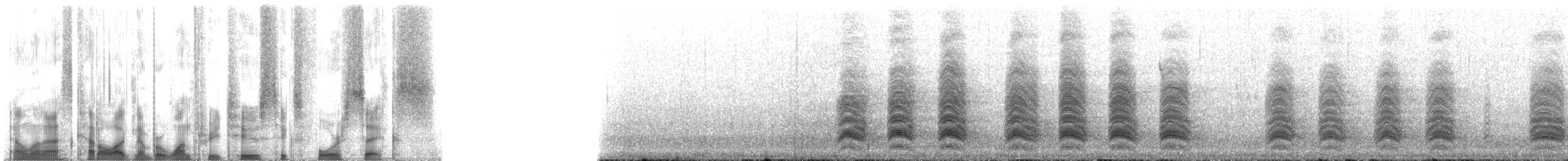 arara patagonský (ssp. andinus) - ML132646