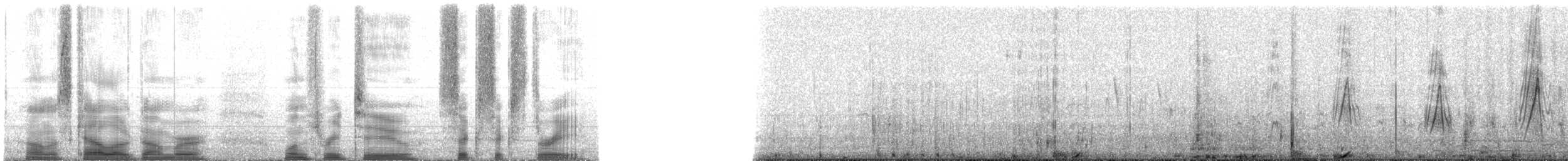 Желтоклювый чирок (oxyptera) - ML132663
