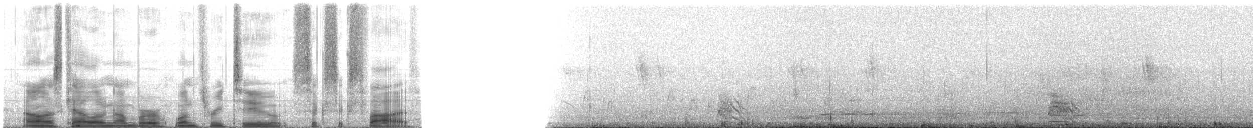 potápka krátkokřídlá - ML132665