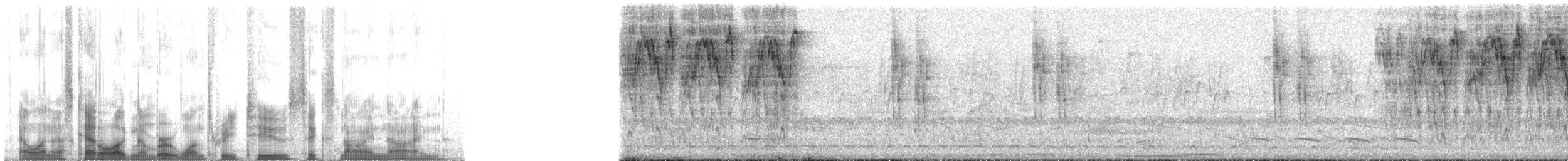 Zuckervogel [luteola-Gruppe] - ML132699