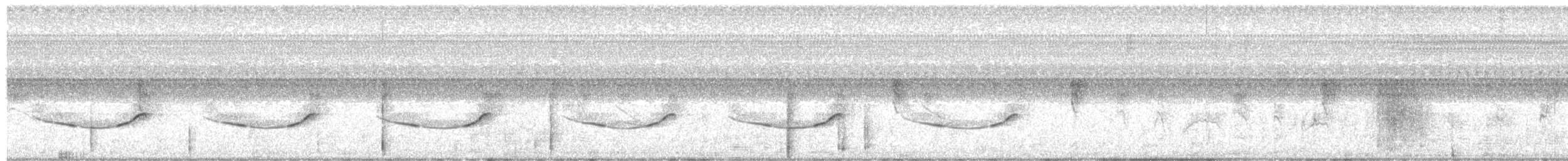 Ak Karınlı Tohumcul - ML132710841
