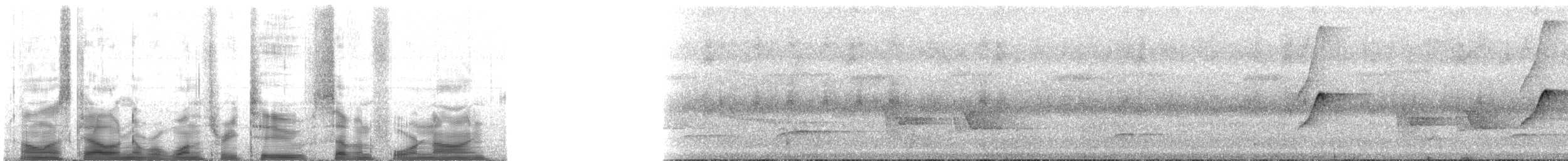 Olivscheitel-Breitschnabeltyrann (pallescens) - ML132749