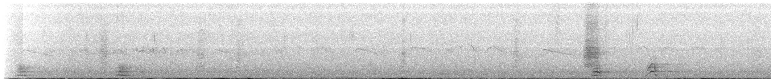 storsvaleseiler - ML132802931