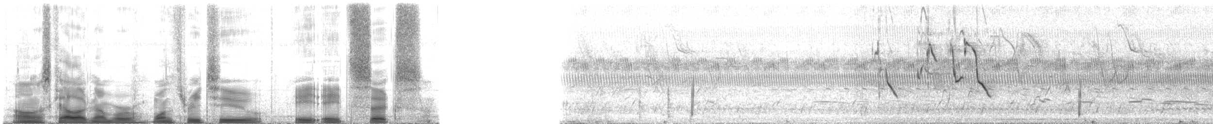 Müthiş Kuyruklu Tiran - ML132886