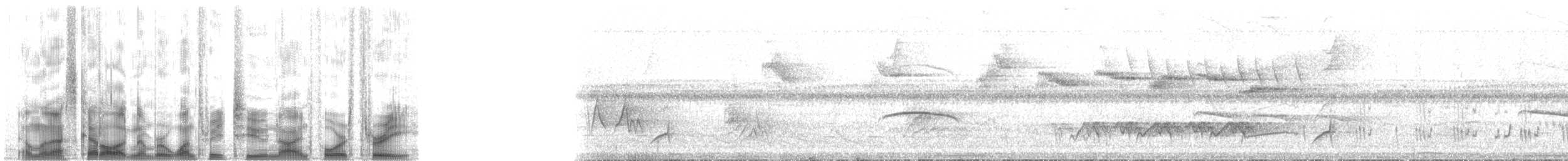 Trogon surucua (surrucura) - ML132943