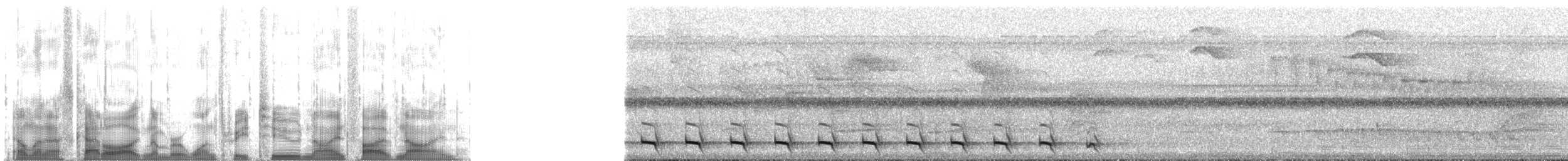 Surukua Trogonu (surrucura) - ML132959