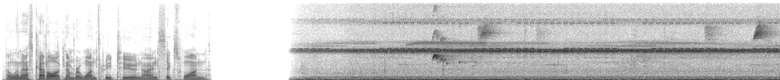 Euler's Flycatcher (Euler's) - ML132961