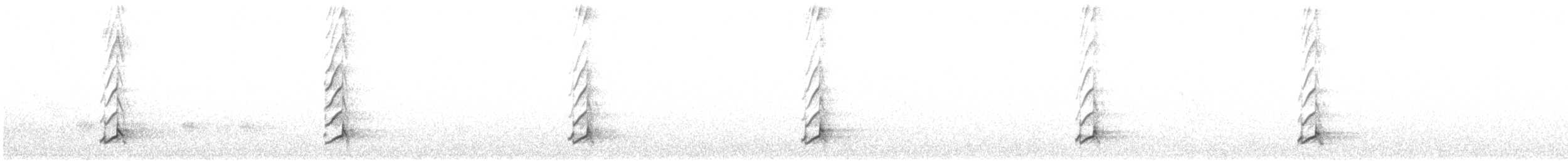 Тихоокеанский коэль - ML132978121