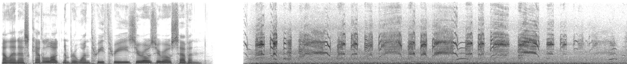 Paíño Boreal (leucorhoa) - ML133007