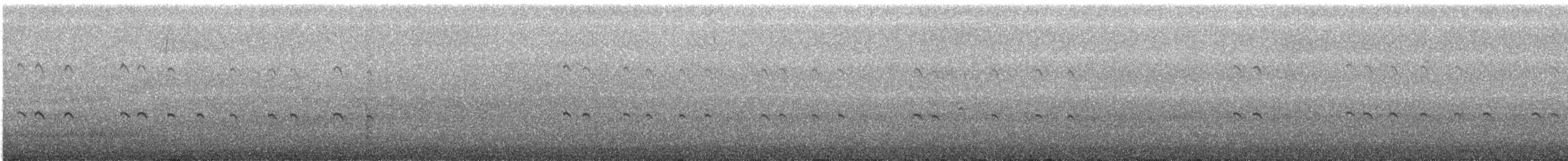Royal Tern - ML133024661