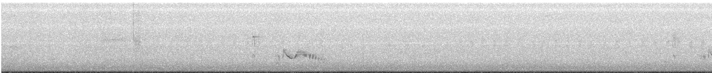 White-eyed Vireo - ML133028491